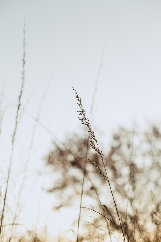 The Power of Saying No: Why it isn't a Selfish Act, blog by Sara Vida