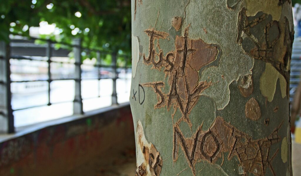 tree trunk with just say no written on it