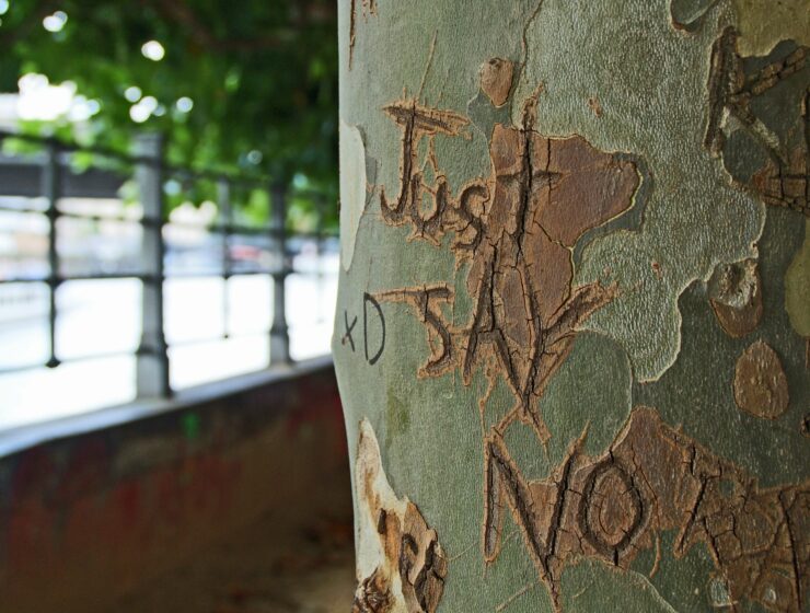 tree trunk with just say no written on it