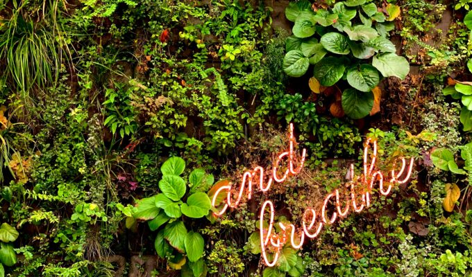 Body Based Healing
