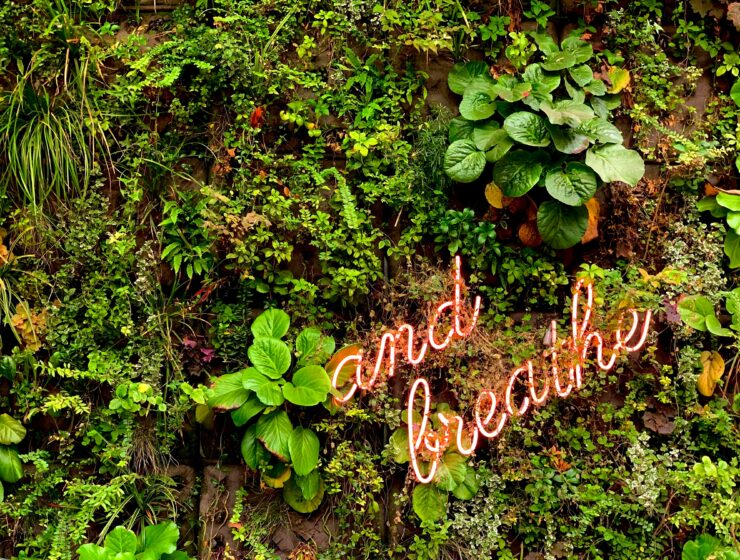 pink neon sign that says breath on a background of green plants and foliage