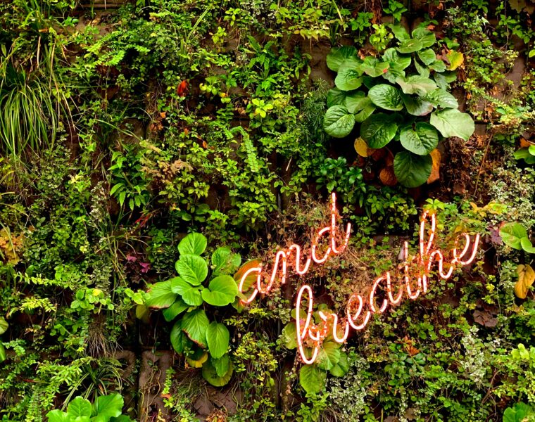 Body Based Healing